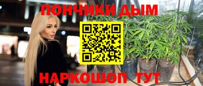 прущие грибы Мариинск