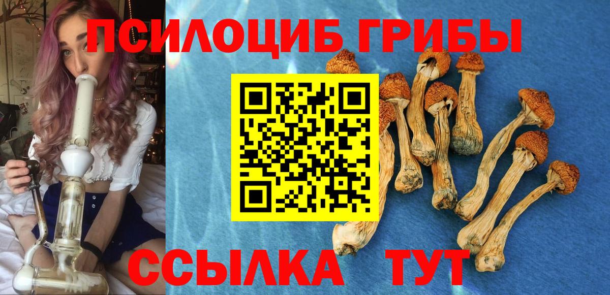 Волгодонск  Псилоцибиновые грибы прущие грибы  Вход с VPN 